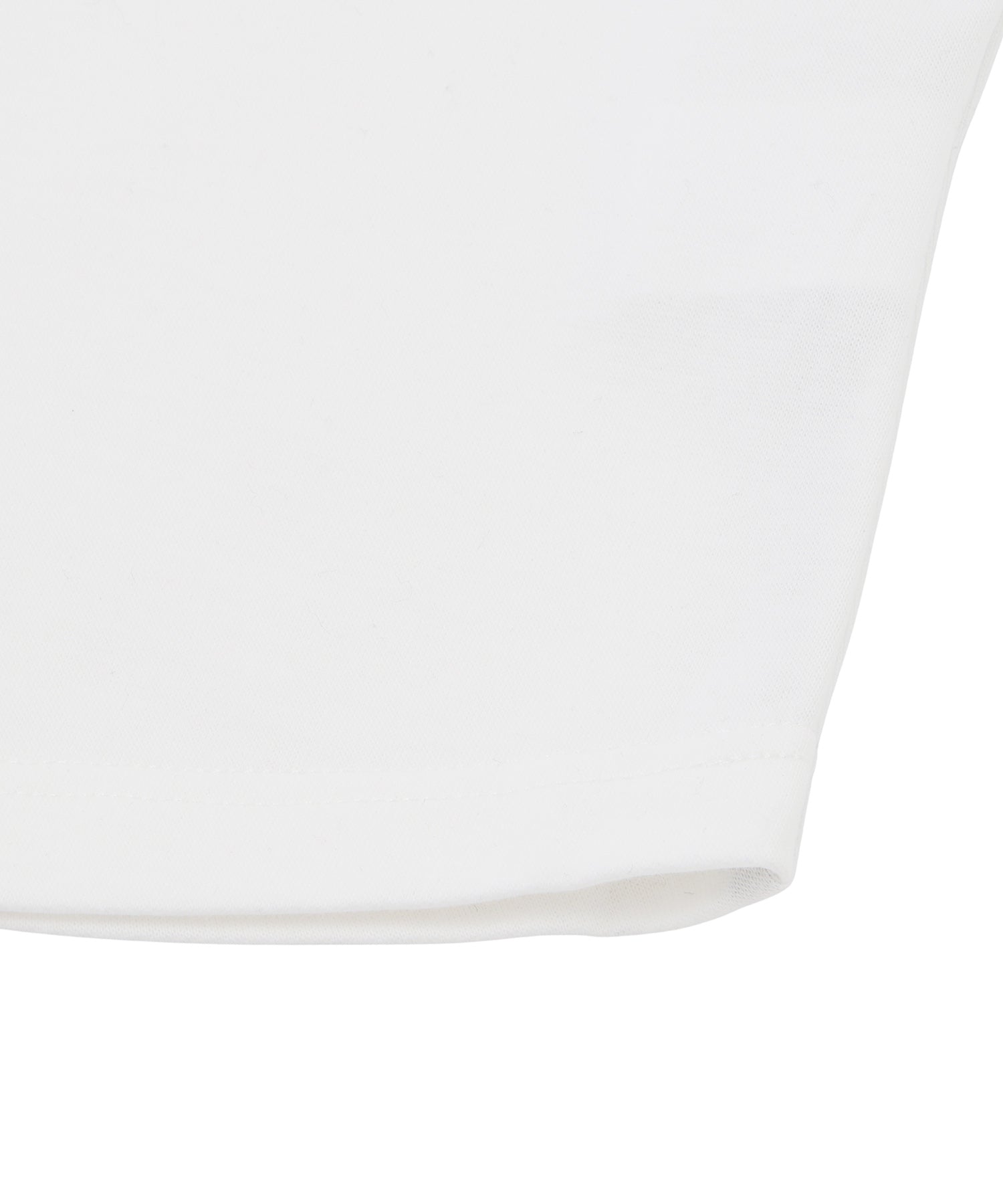 コンパクトラグランフロッキーロゴロンT