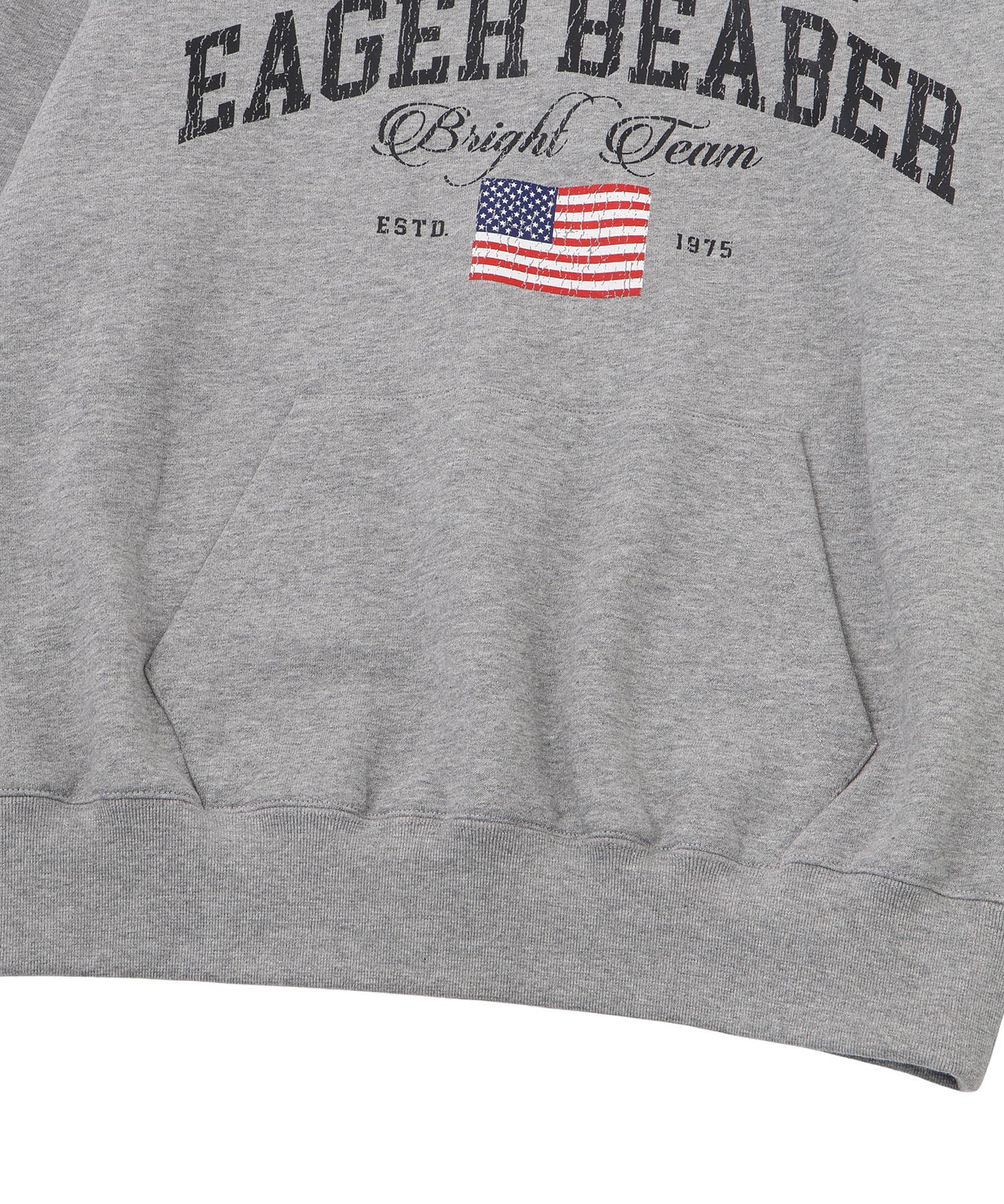 College logo just sweat shirt