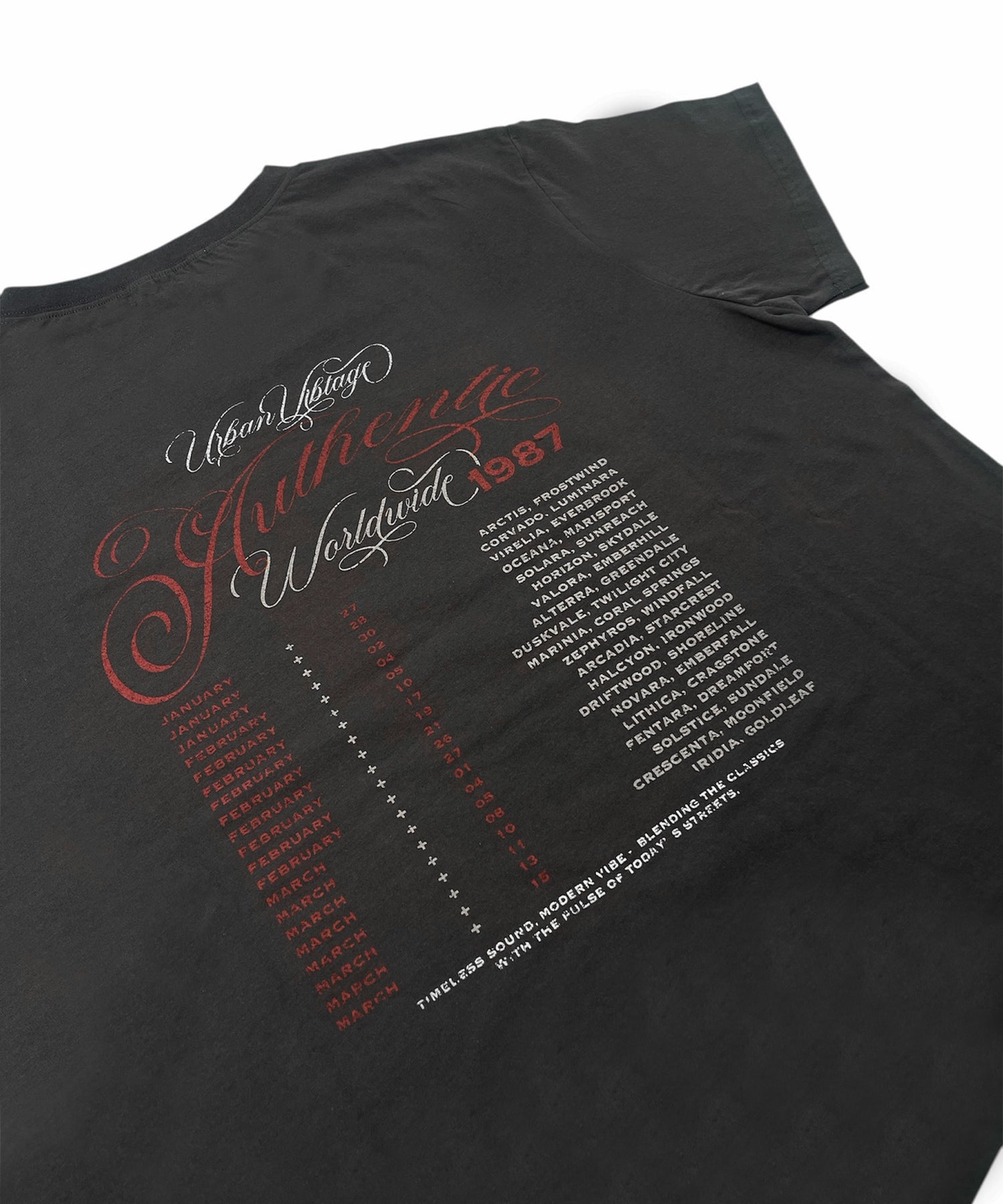 2way asymmetry vintage tee