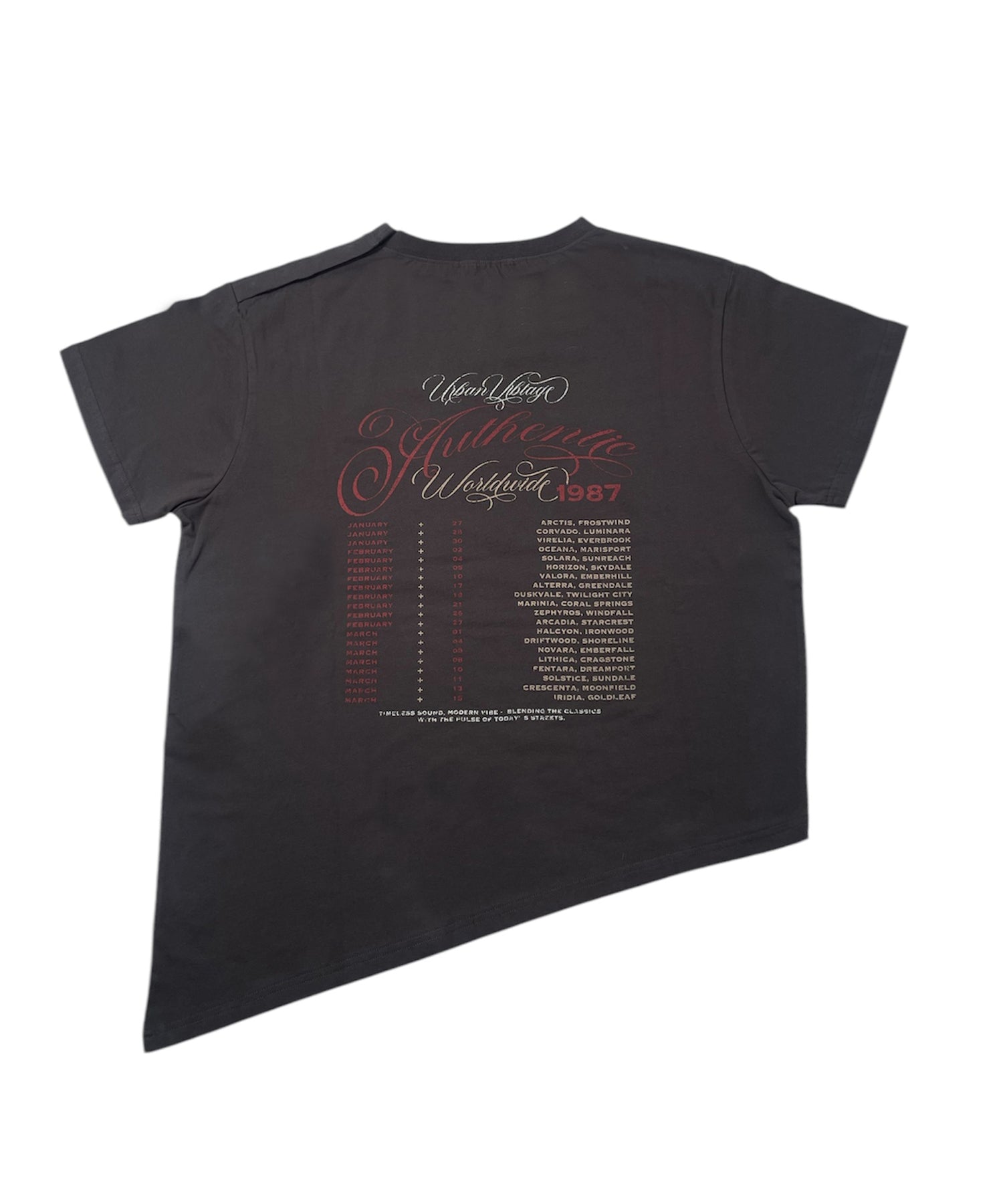 2way asymmetry vintage tee