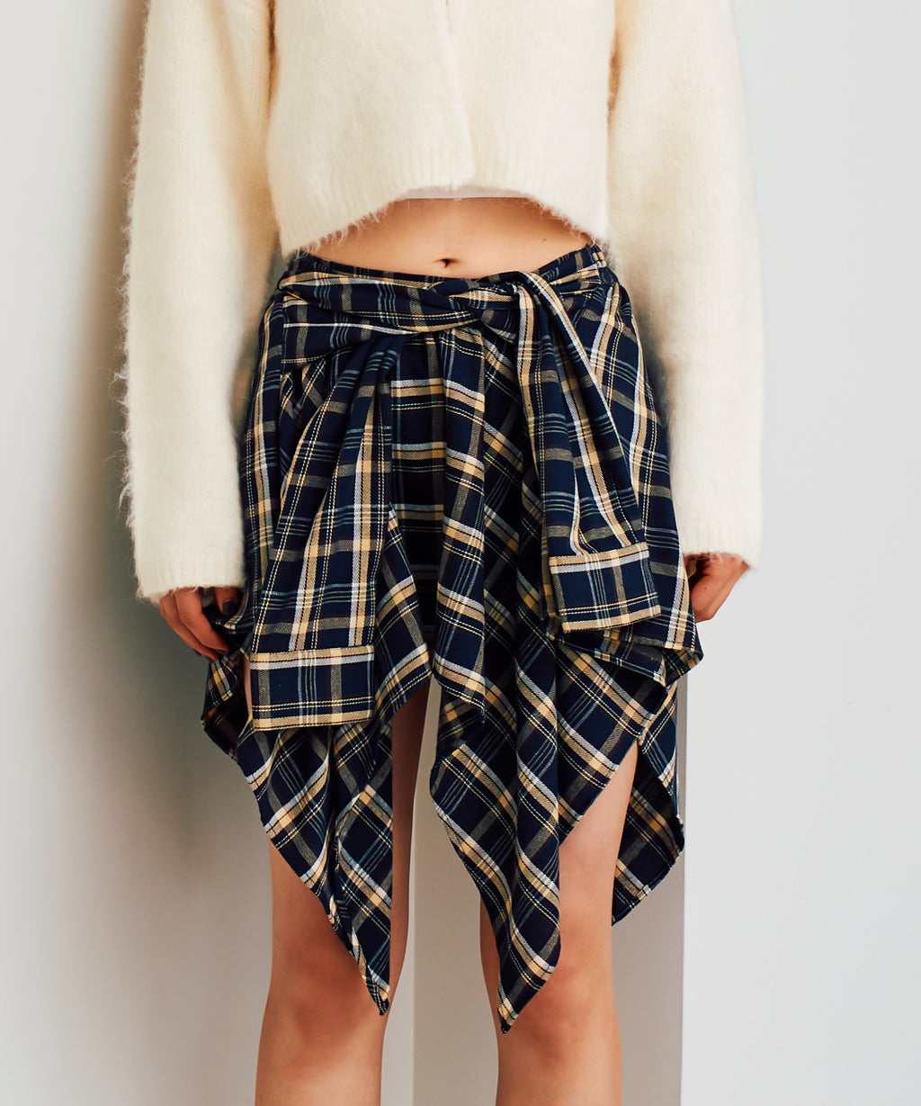 Asymmetry_check_mini_skirt4. 